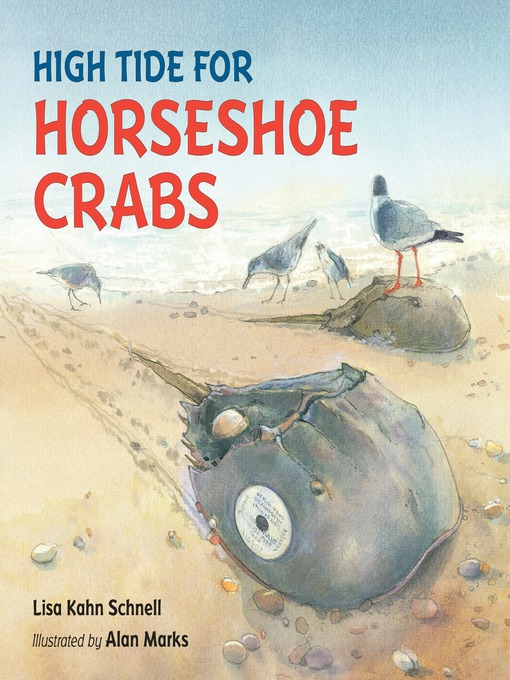 封面high tide for horseshoe crabs